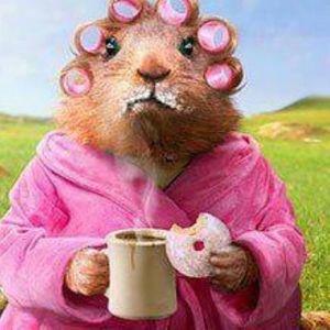 Meet your Posher, Donna smith